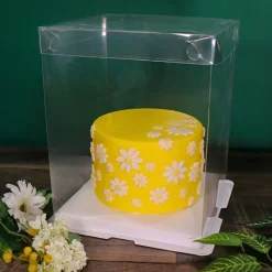 Boîte à gâteau carrée vitrine transparente haute