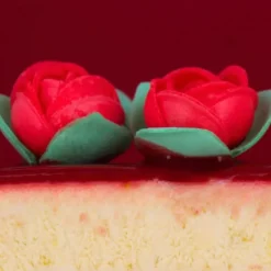 Boutons de rose rouge (x15)