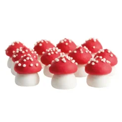 Champignons rouges comestibles 30 g