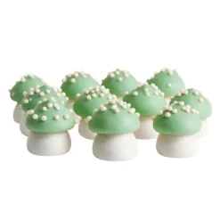 Champignons verts comestibles 20 g