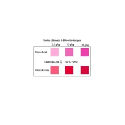 Colorant poudre alimentaire Rouge Framboise 100 g