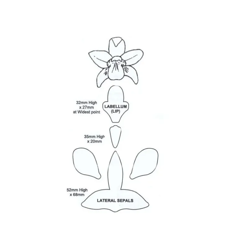 Découpoirs fleur d'orchidée