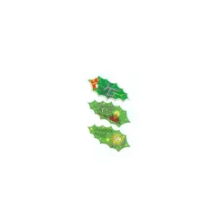 Feuille de houx azyme assorties "Joyeux Noël" (x 24)