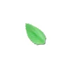 Feuille de rose azyme verte (x50)