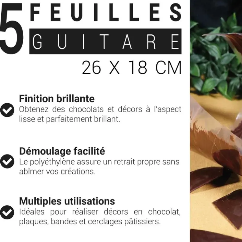 Feuille polyéthylène 26 x 18 cm (x5)