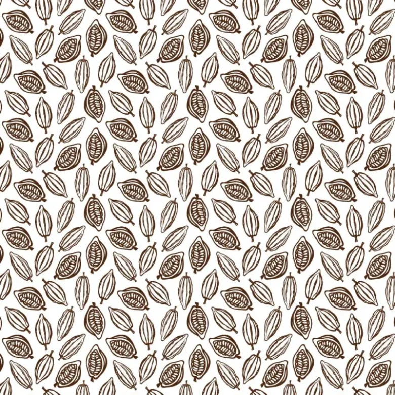 Feuilles transfert cabosses de cacao (x5)