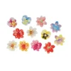 13 Fleurs 3D comestibles en azyme assorties