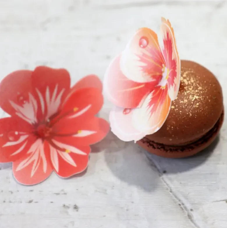 13 Fleurs 3D comestibles en azyme assorties