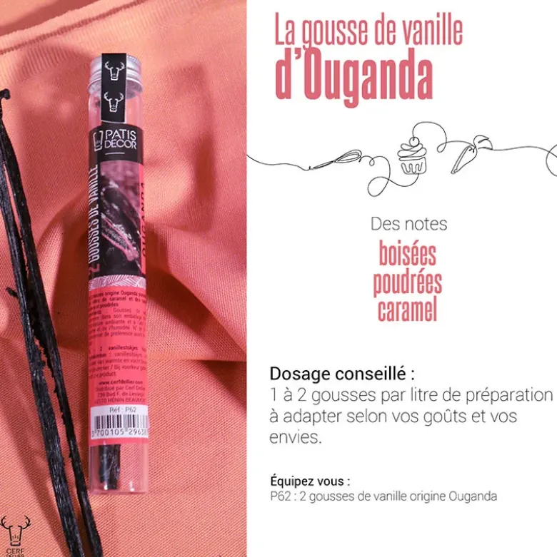 Gousse de Vanille Ouganda (x2)