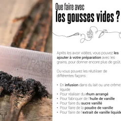Gousse de Vanille Ouganda (x2)