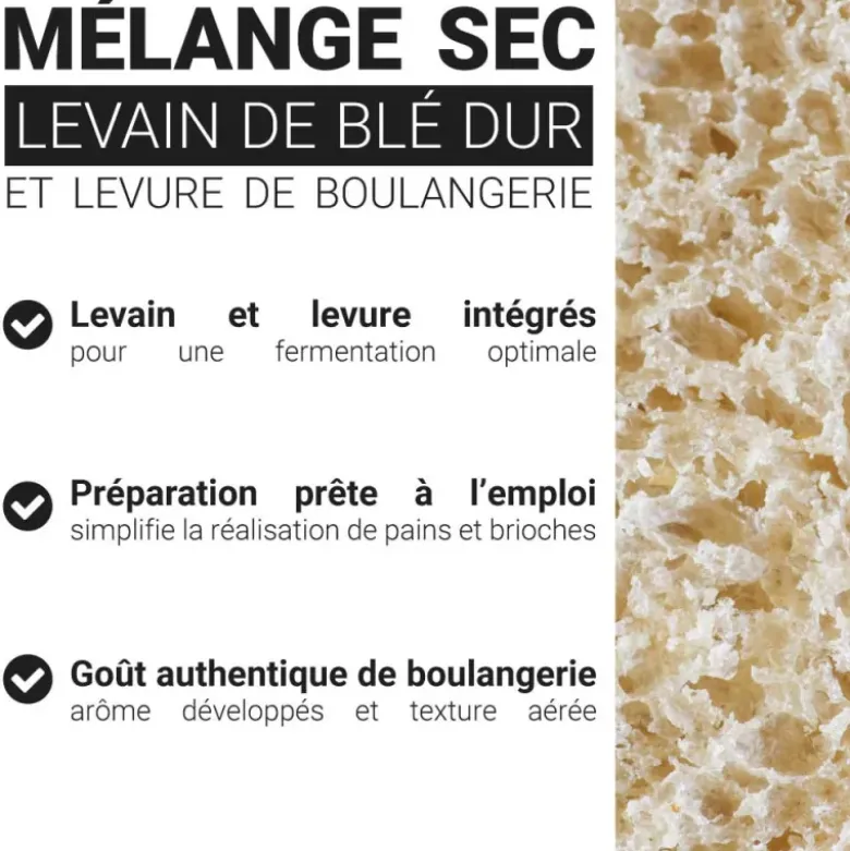 Levain de blé dur