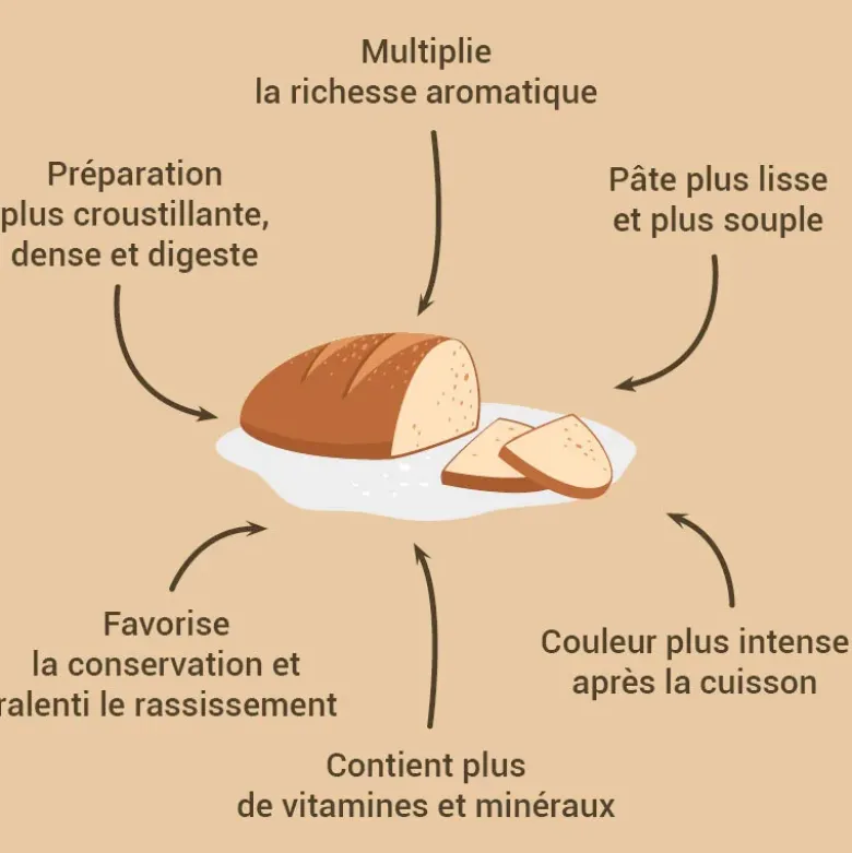 Levain de seigle 150 g - DDM 07/26