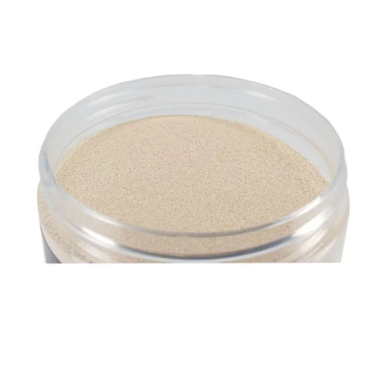 Levure de boulanger sèche instantanée 300 g - DDM 10/26