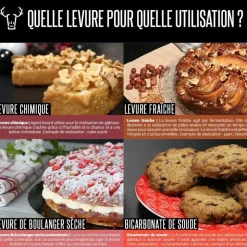 Levure sèche de boulangerie Saf-levure 125 g - DDM 07/26
