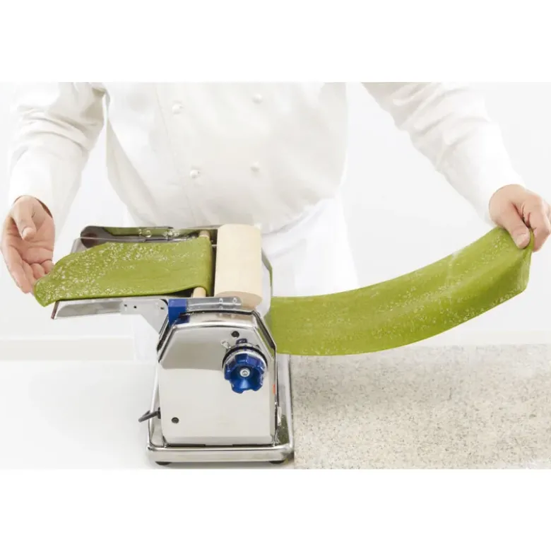 machine à pâtes électrique 12 kg/heure laminoir 22 cm