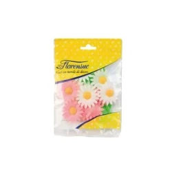 Marguerites assorties (x12)