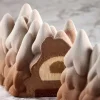 Moule à bûche en silicone Snow Tree Pavoni