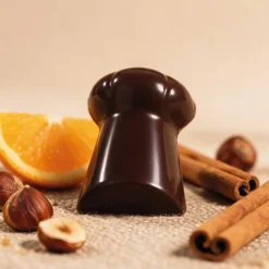 Moule Bonbons Bouchons de Champagne
