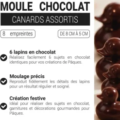 Moule chocolat canards assortis