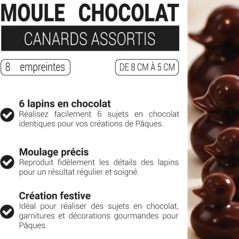 Moule chocolat canards assortis