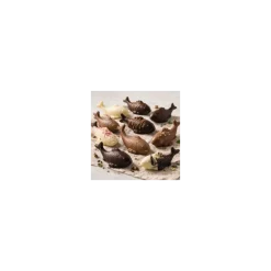 Moule chocolat carpes koï
