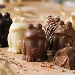 Moule chocolat Grenouille