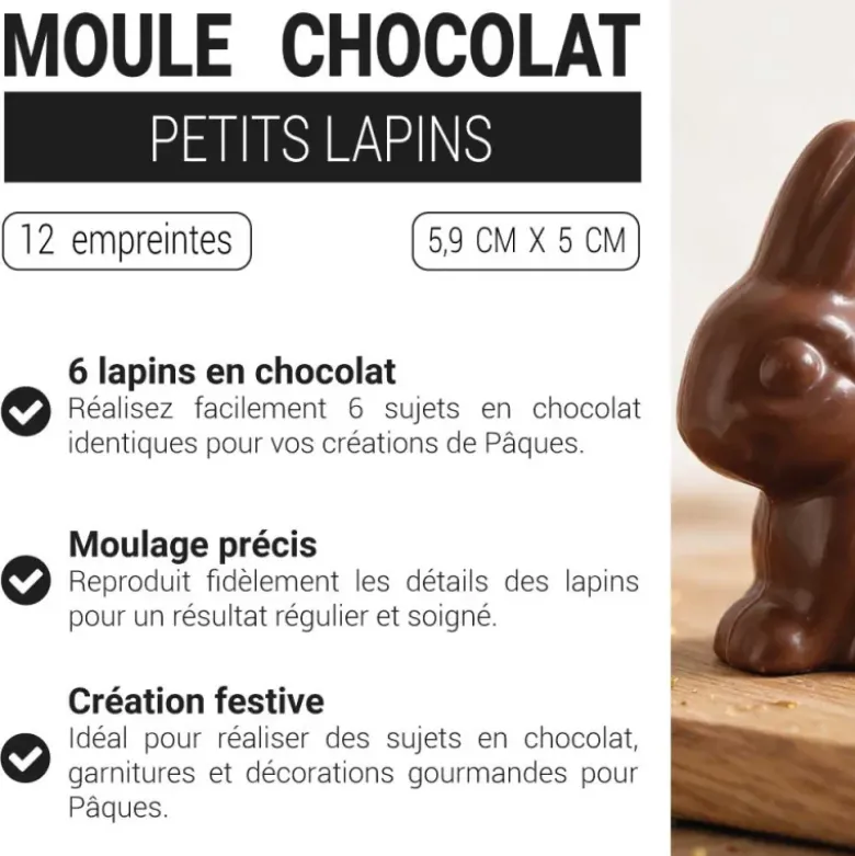 Moule chocolat 6 lapins