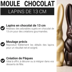 Moule chocolat lapins 13 cm