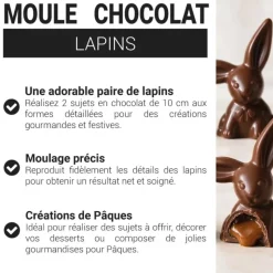 Moule chocolat 2 lapins oreilles 10 cm
