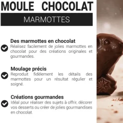 Moule chocolat Marmottes