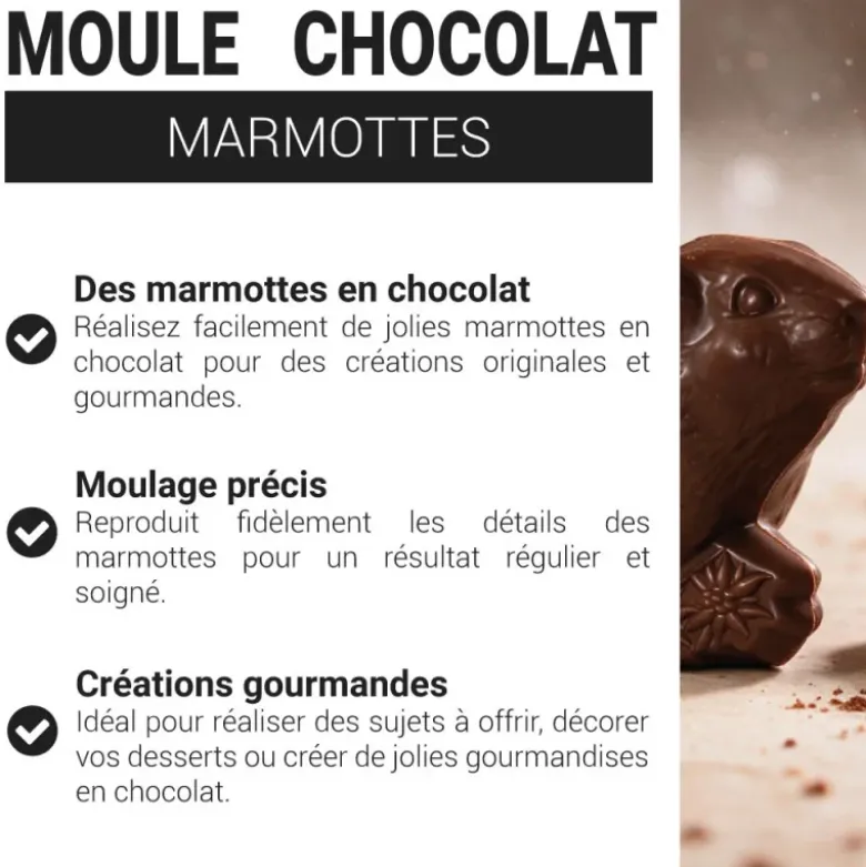 Moule chocolat Marmottes