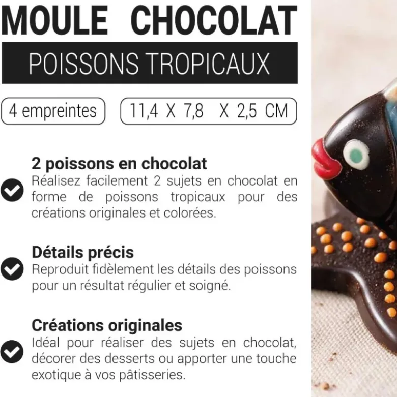 Moule chocolat 2 poissons tropicaux