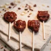 Moule Chocolat Sucettes Animaux de la Jungle