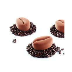 Moule silicone Moka Pavoni