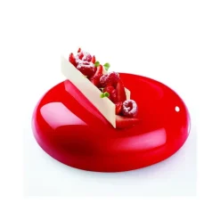 Moule silicone Planet Pavoni