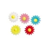 Pâquerettes assorties en azyme x20