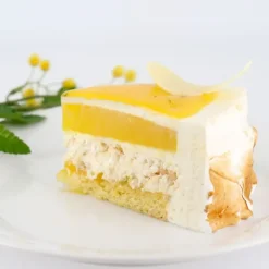 Préparation bavarois Citron - 100 g