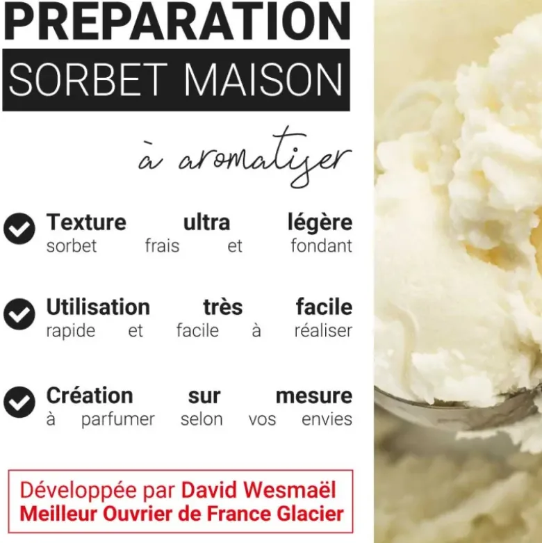 Préparation pour sorbet maison