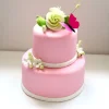 Pâte à sucre rose étalée - DDM 09/26
