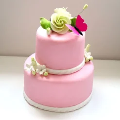Pâte à sucre rose étalée - DDM 09/26