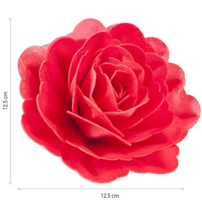 Rose rouge géante azyme