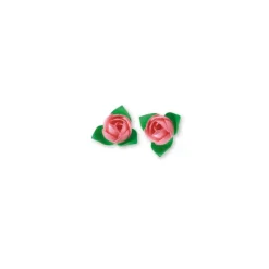 Roses roses avec feuilles x10